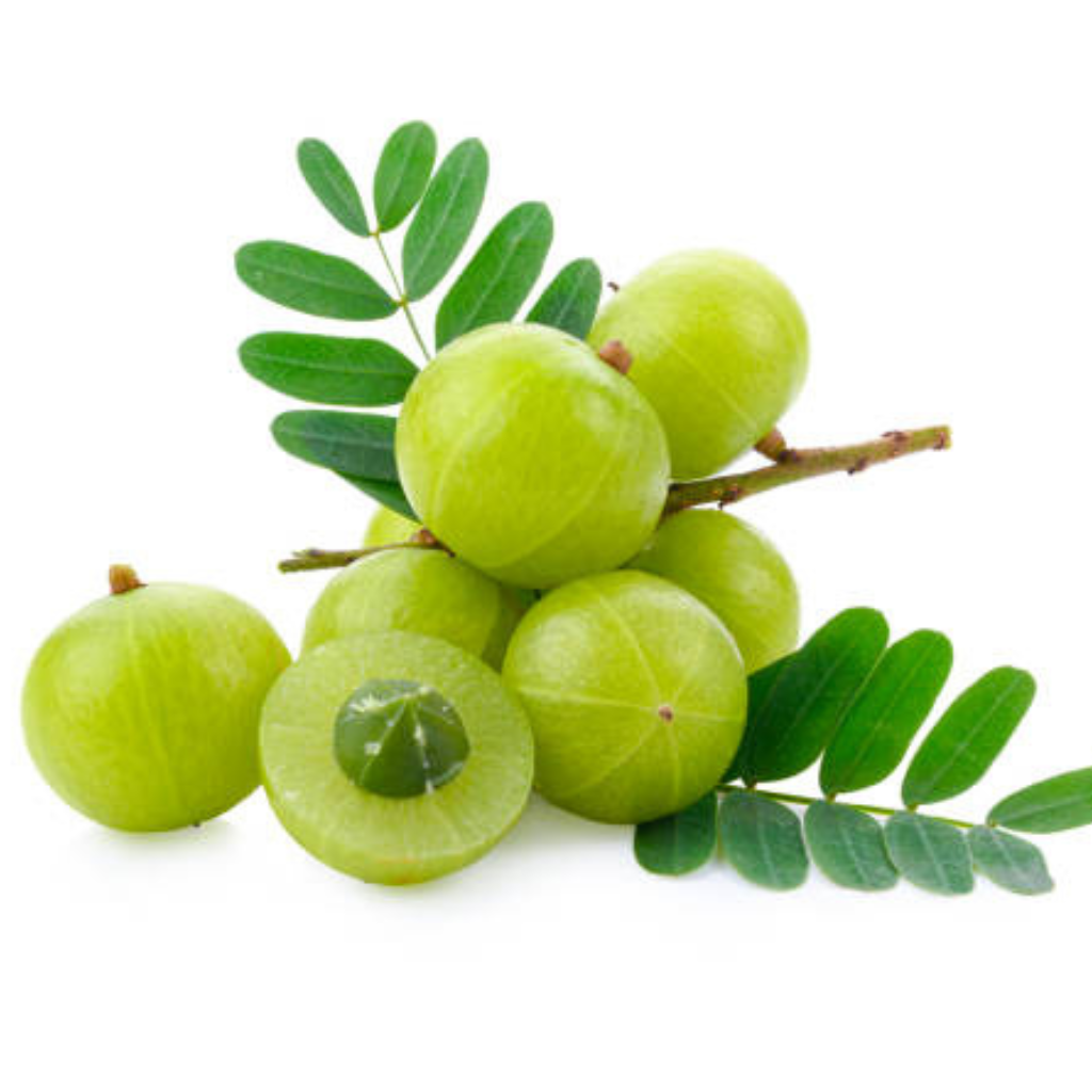 untitled design (13)