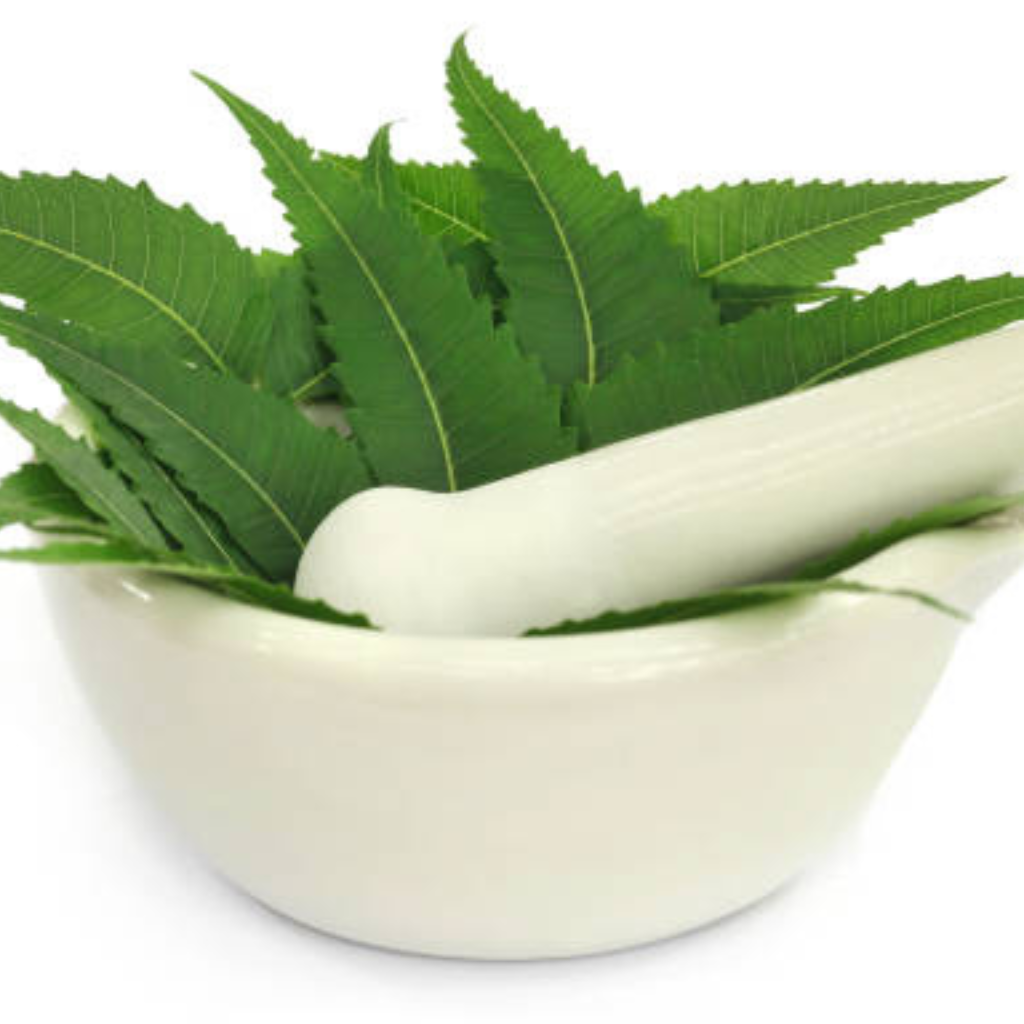 untitled design (18)